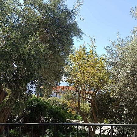 Greekowl Apartments Skiathos Town Exterior photo