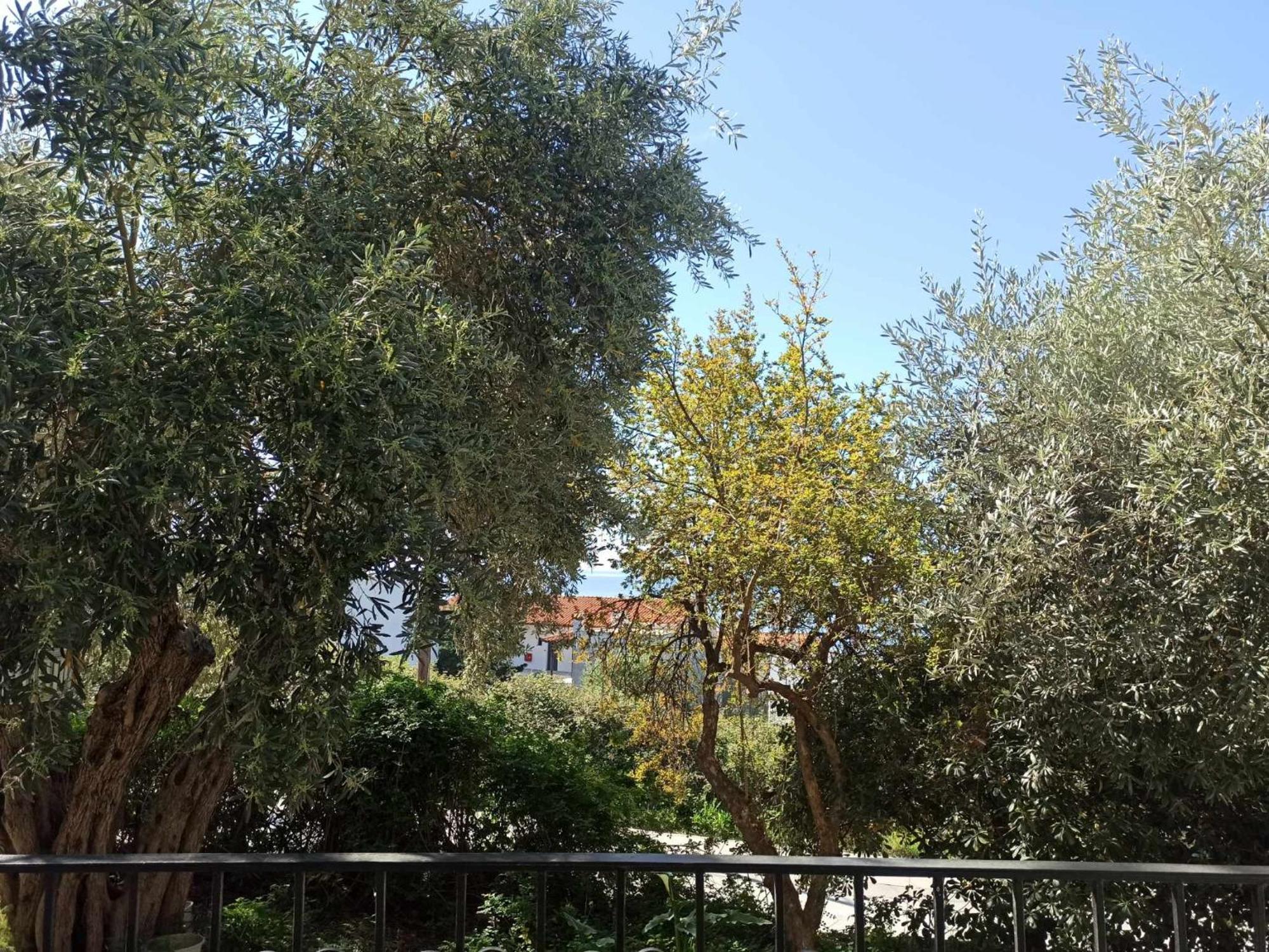 Greekowl Apartments Skiathos Town Exterior photo