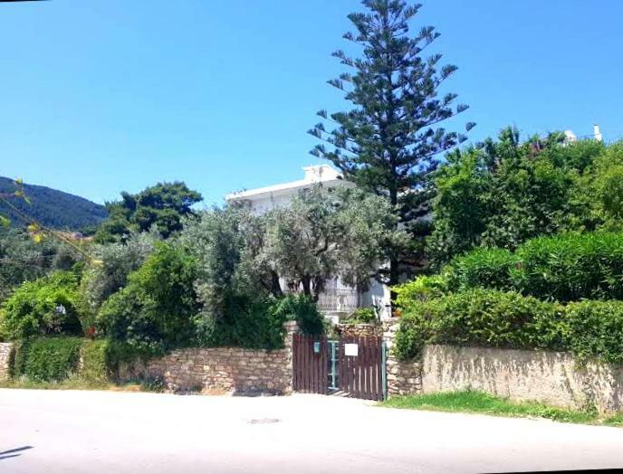 Greekowl Apartments Skiathos Town Room photo